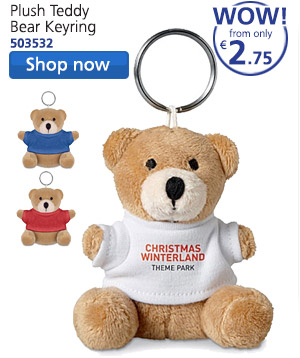 Plush Teddy Bear Keyring